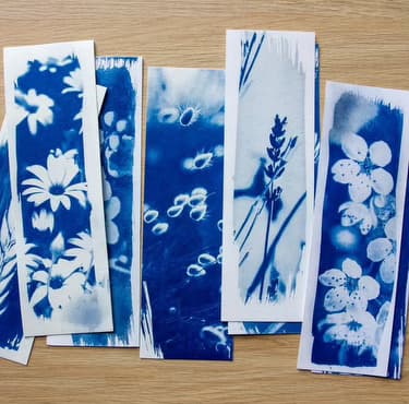 Atelier cyanotype avec Mélanie Colin 